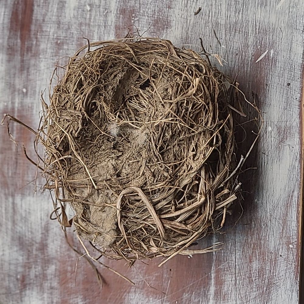 Natural Bird Nest Decor, "Put A Bird On It". - Picture 4 of 4